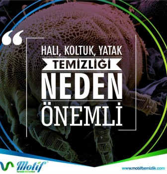 Neden Motif Halı Yıkama